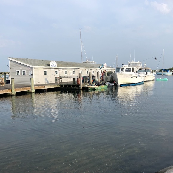 Meet your Posher, Annemarie - Picture 3 of 5